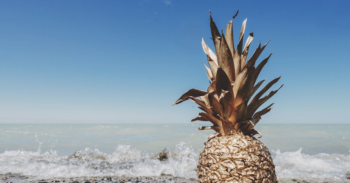 The Role of Continuing Education in Chiropractic Qualifications