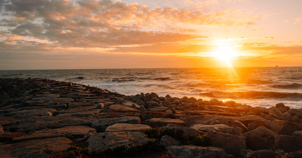 Understanding the Healing Process: How Chiropractic Can Help